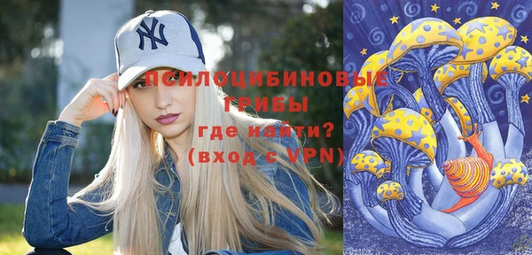 гашик Кулебаки