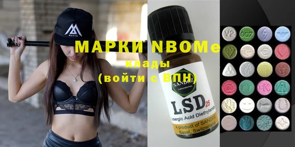 гашик Кулебаки