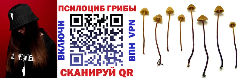Псилоцибиновые грибы Magic Shrooms  купить наркоту  Лангепас 