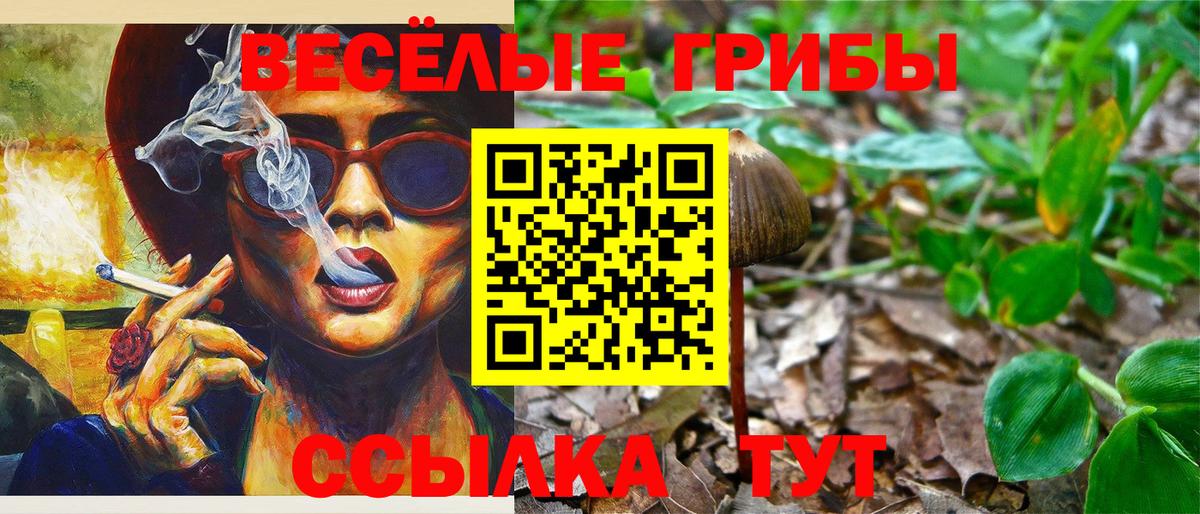 Галлюциногенные грибы Cubensis Лангепас