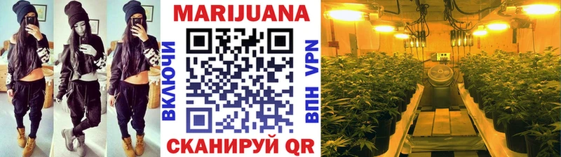 Каннабис план  купить наркотики сайты  Лангепас 